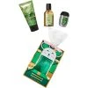 Top 10 🎁 Bath & Body Works Mini Cello Eucalyptus And Spearmint 3 Pc. Gift Set 🧨