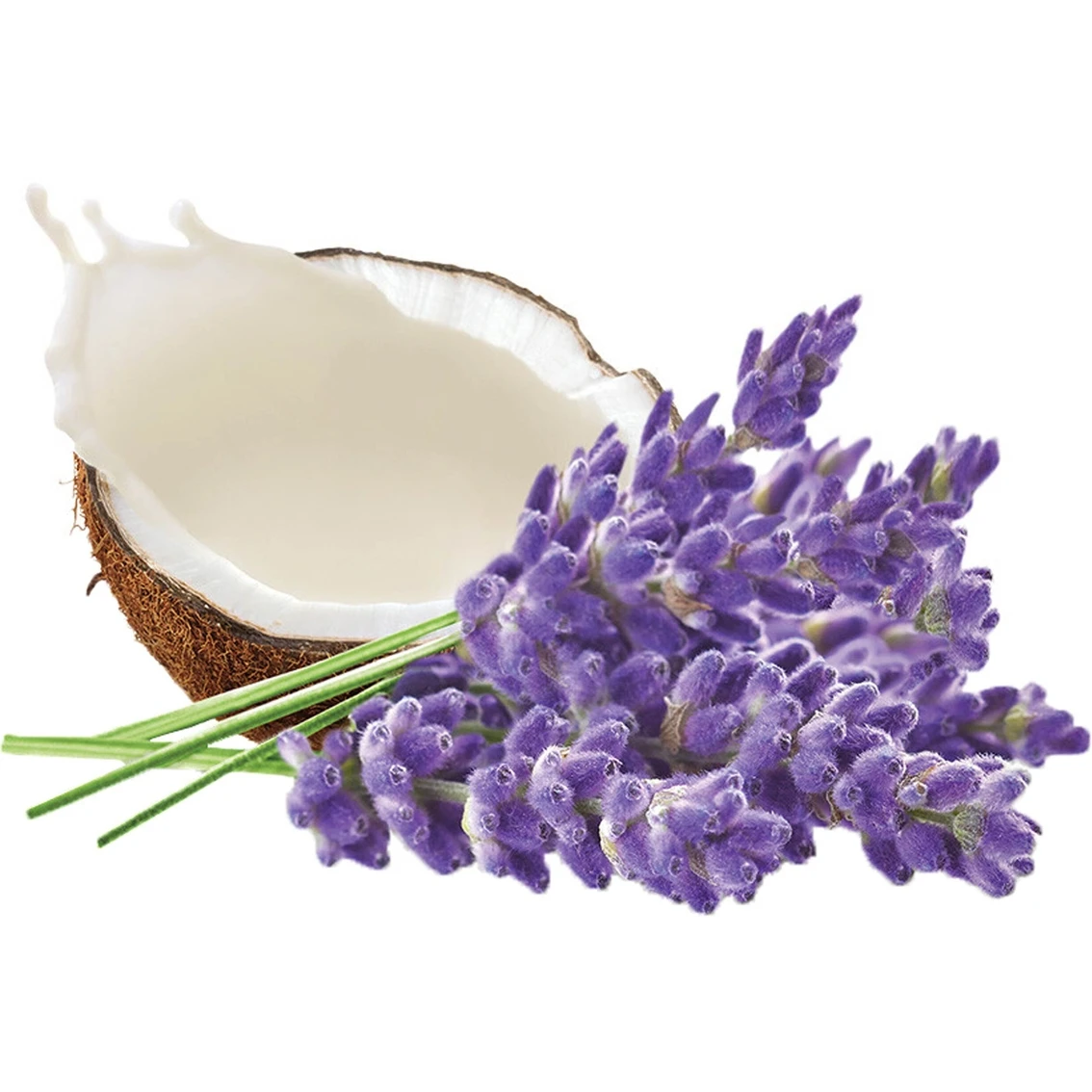 Coupon ๐ Dove Whipped Lavender And Coconut Milk Body Cream 10 Oz. โค๏ธ 3 Coupon ๐ Dove Whipped Lavender And Coconut Milk Body Cream 10 Oz. โค๏ธ - Image 3