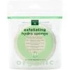 Deals 🛒 Earth Therapeutics Organic Cotton Exfoliating Round Sponge ✔️
