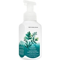 Buy 🧨 Bath & Body Works Fresh Rainfall Gentle & Clean Foaming Soap 😀