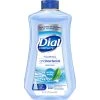 Wholesale ⭐ Dial Complete Anti-Bacterial Spring Water Foaming Hand Wash Refill ❤️