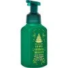 Buy 😉 Bath & Body Works Messaging: Holiday Mistletoe Foaming Soap ✔️