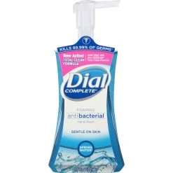 Budget 🛒 Dial Complete Springwater Foaming Hand Wash 😀
