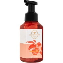Deals 😀 Bath & Body Works Aromatherapy Orange Ginger Gentle And Clean Foaming Soap ⭐