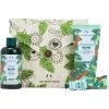 Top 10 🎁 The Body Shop Pine And Divine Essentials 3 Pc. Gift Set 🤩